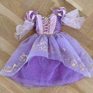 Disney Purple and Gold Princess Dress Costume